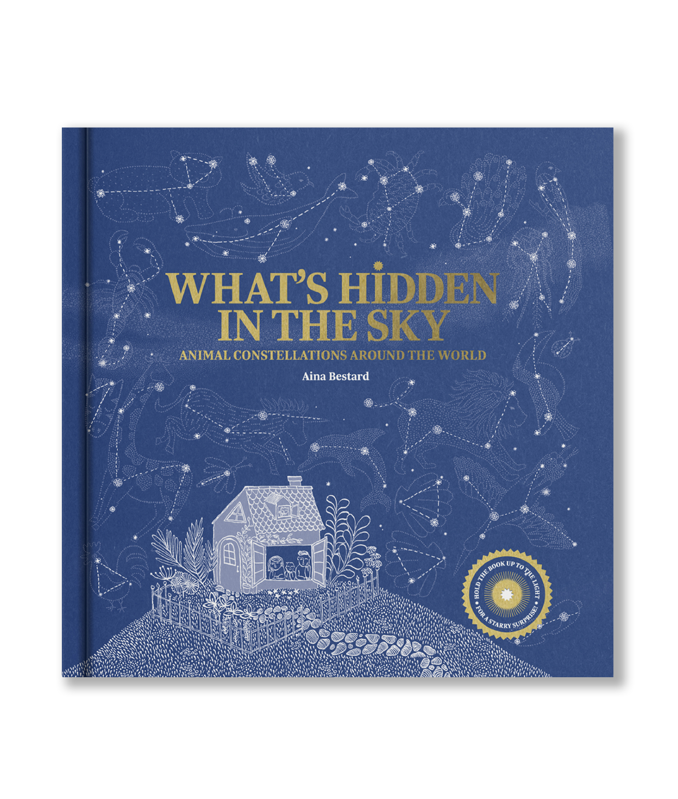 What's Hidden in The Sky