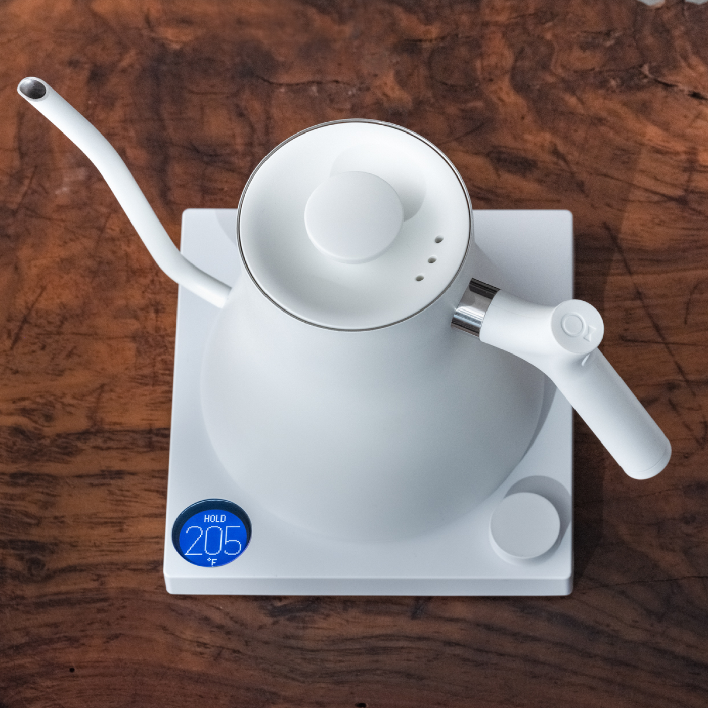 Rebrew Stagg EKG Electric Kettle