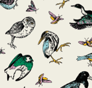 Parks Project x Audubon Faux Shearling Jacket