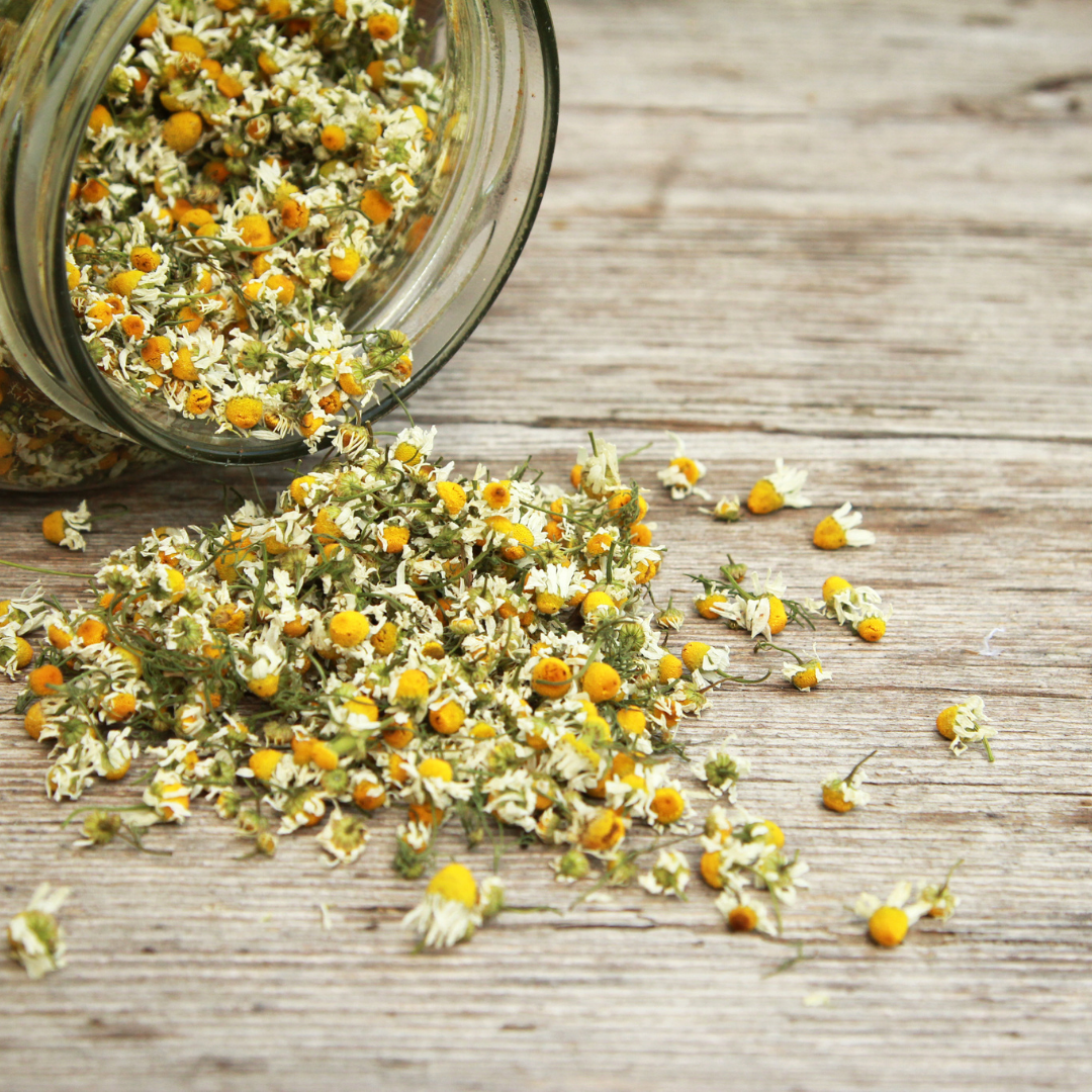 Chamomile Powder