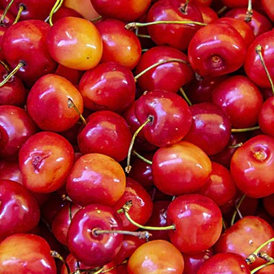 Cherry Fruit Extract Powder