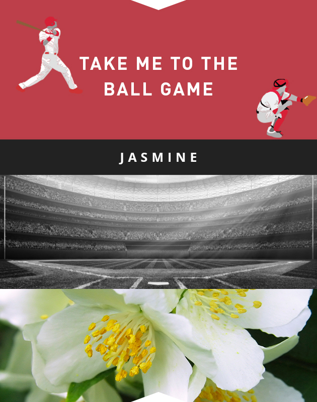 Collage for Take Me To The Ball Game
