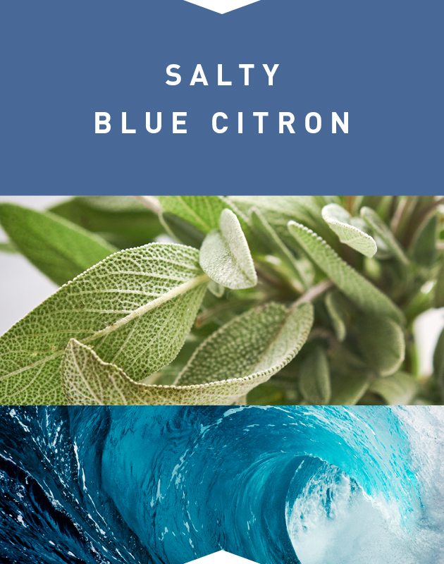 Collage for Salty Blue Citron 3-wick 10oz Jar Candle