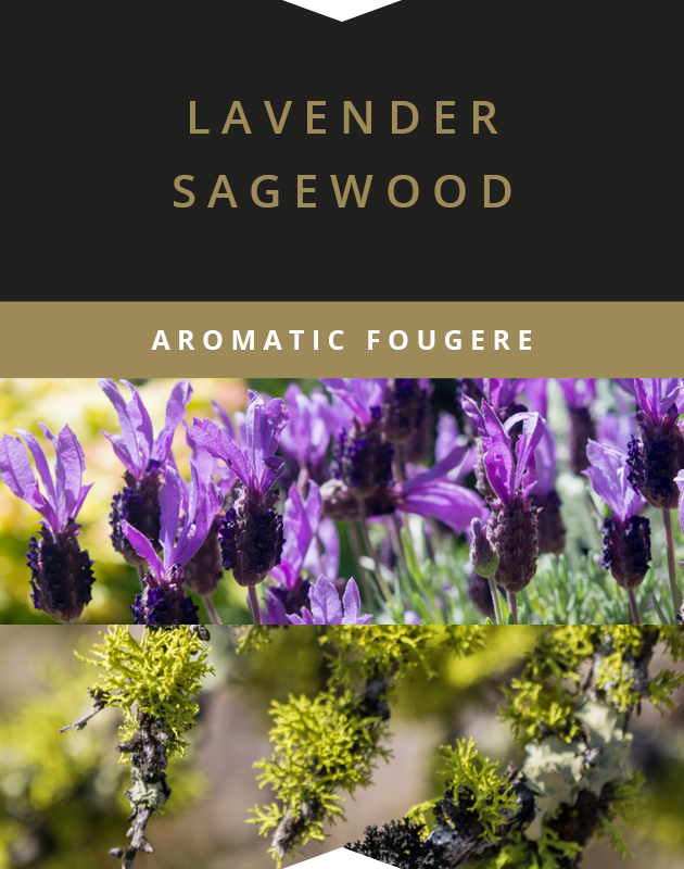 Collage for Lavender Sagewood Wooden-Wick 14oz Jar Candle