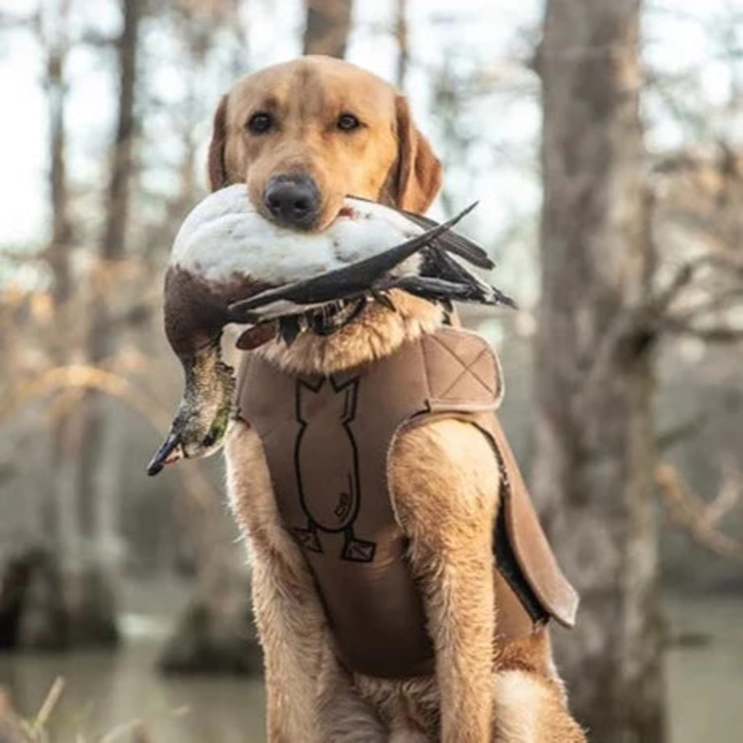 Dog Vest | Insulated & Protective Gear For Hunting Dogs – Dive Bomb ...