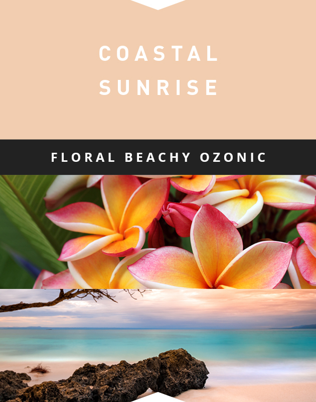 Collage for Coastal Sunrise