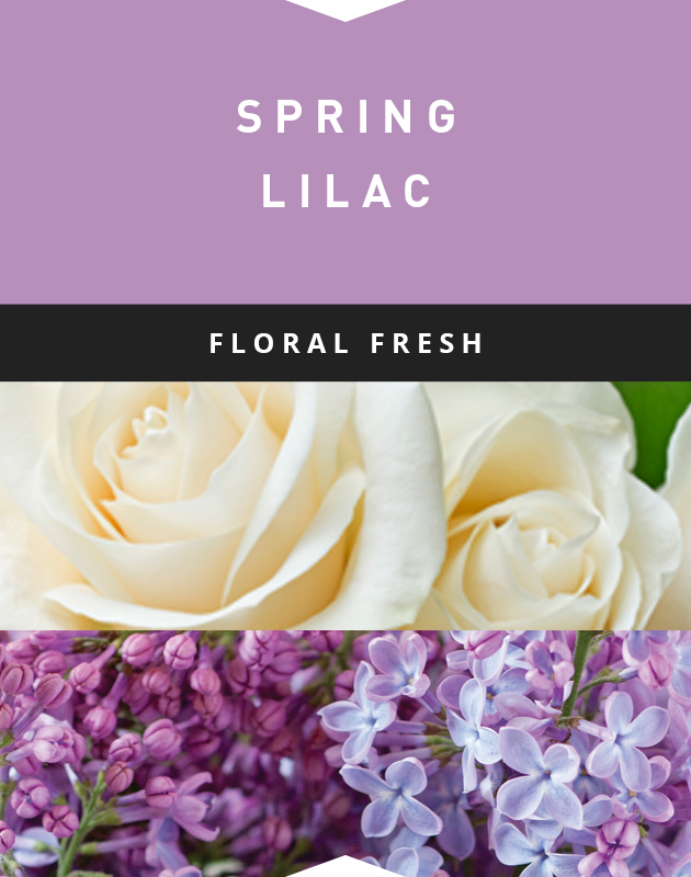 Collage for Spring Lilac