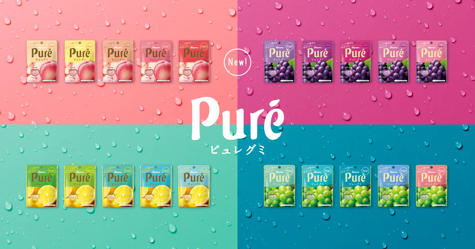 ピュレグミ グレープ 100円ショップ専用品 Kanro Pocket