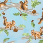 Squirrel Scurry