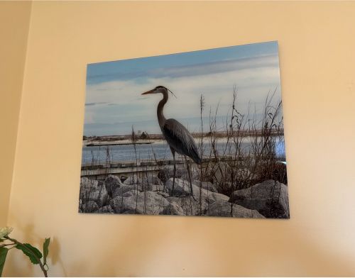 Glass print bird on wall