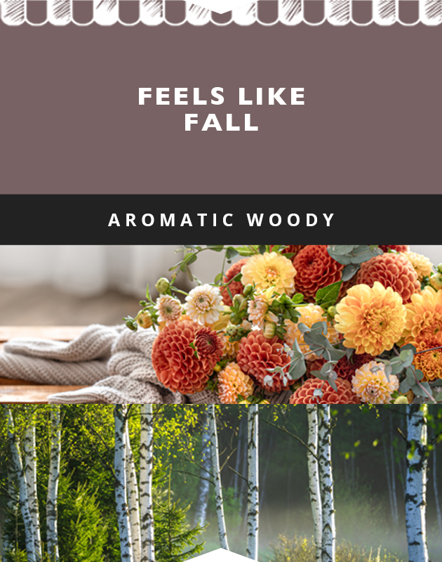 Collage for Feels Like Fall