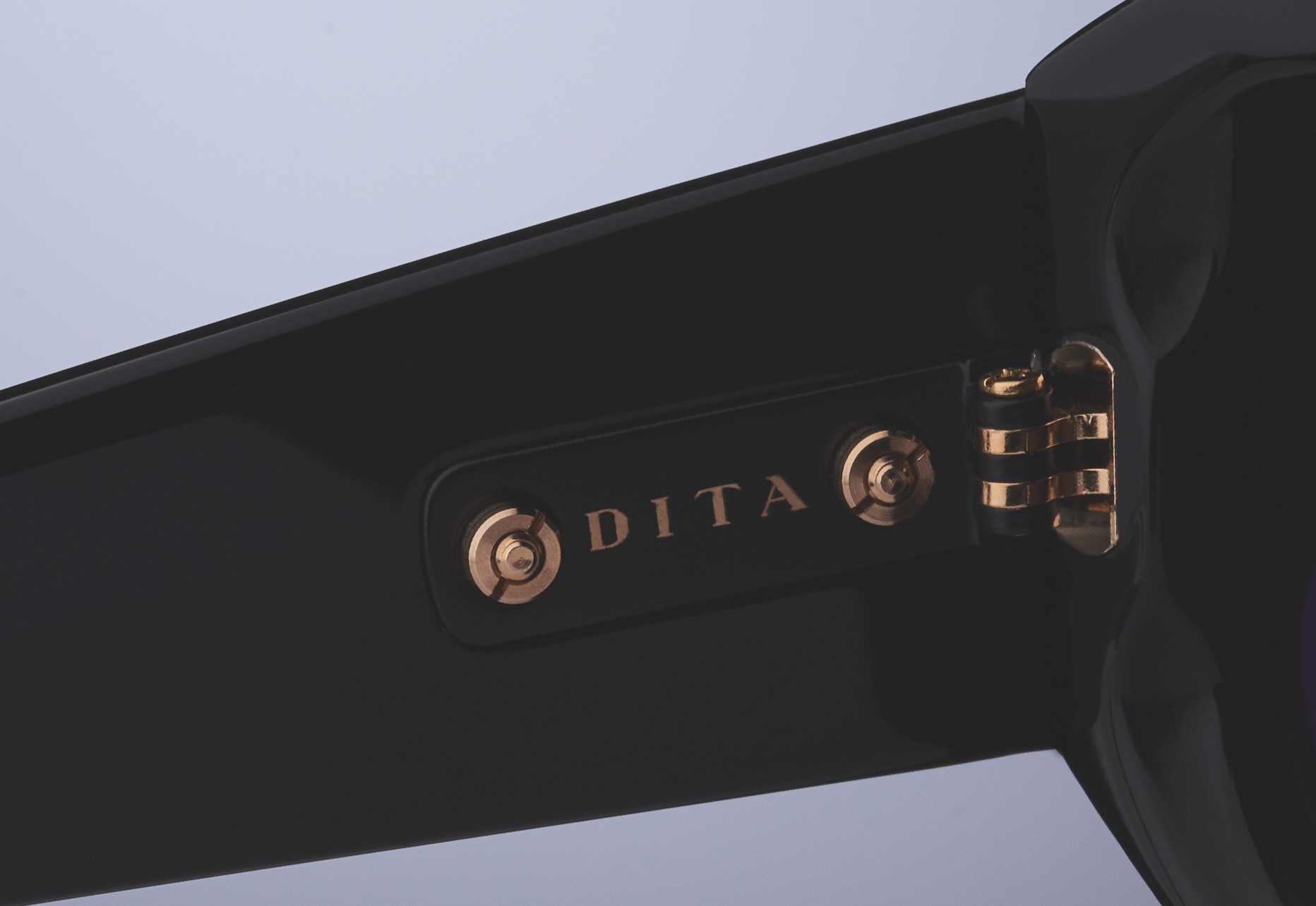 DITA SUPERFLIGHT OVERSIZED HINGE PLATE WITH OVERSIZED HEX SCREW AND BUSHINGS
