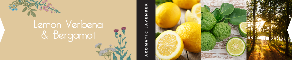 Collage for Lemon Verbena & Bergamot 2-wick 17oz Jar Candle