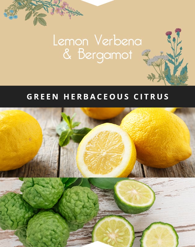 Collage for Lemon Verbena & Bergamot