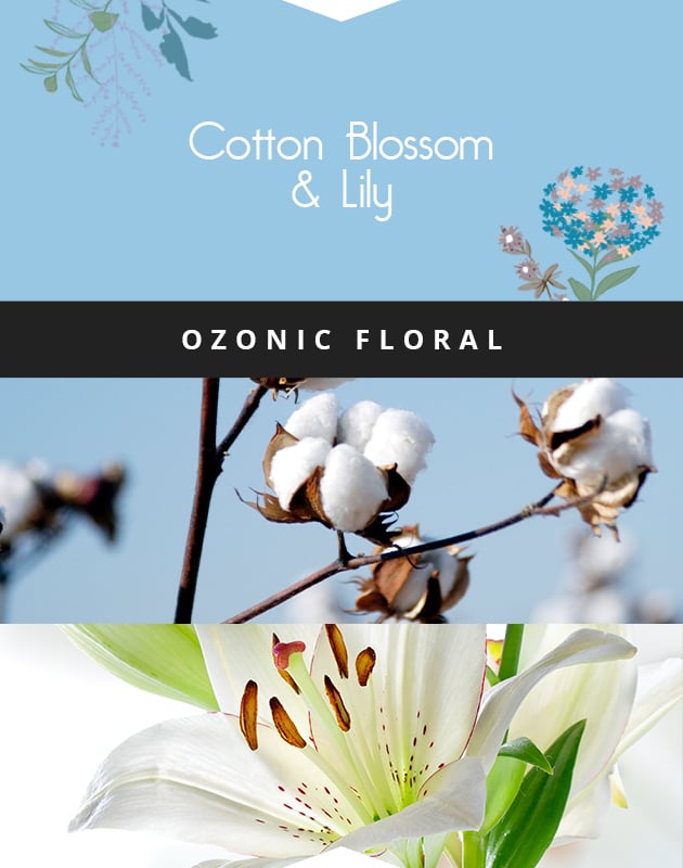 Collage for Cotton Blossom & Lily 2-wick 17oz Jar Candle