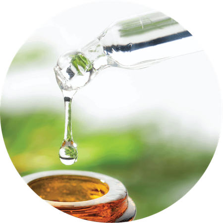 Ferulic Acid