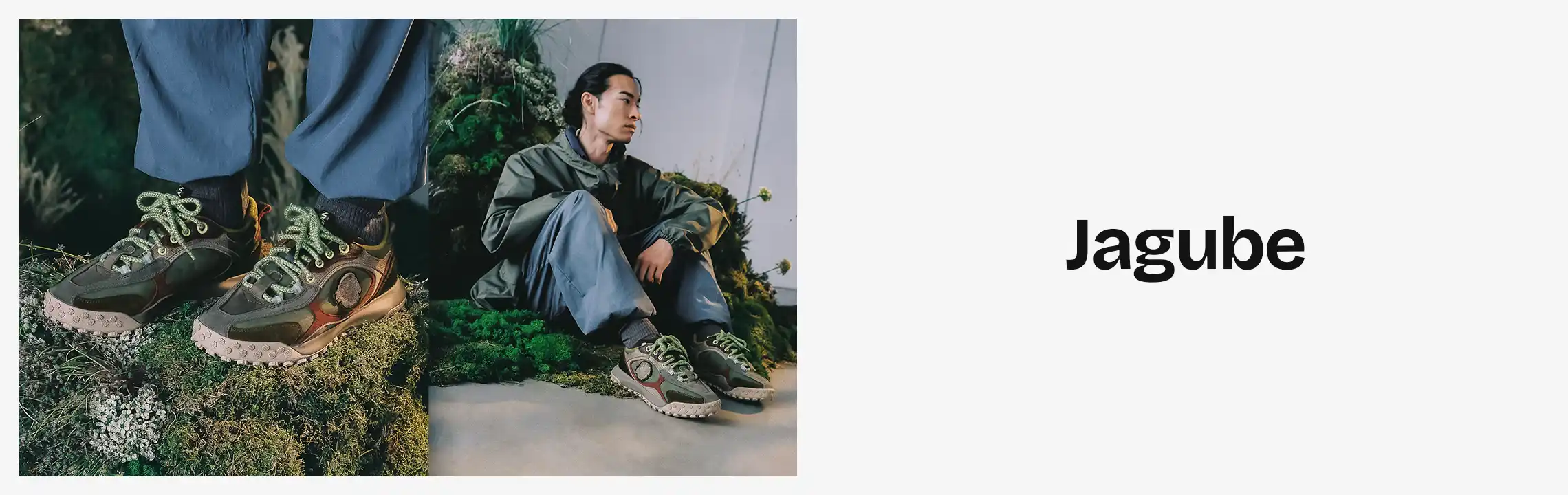 Collection Banner
