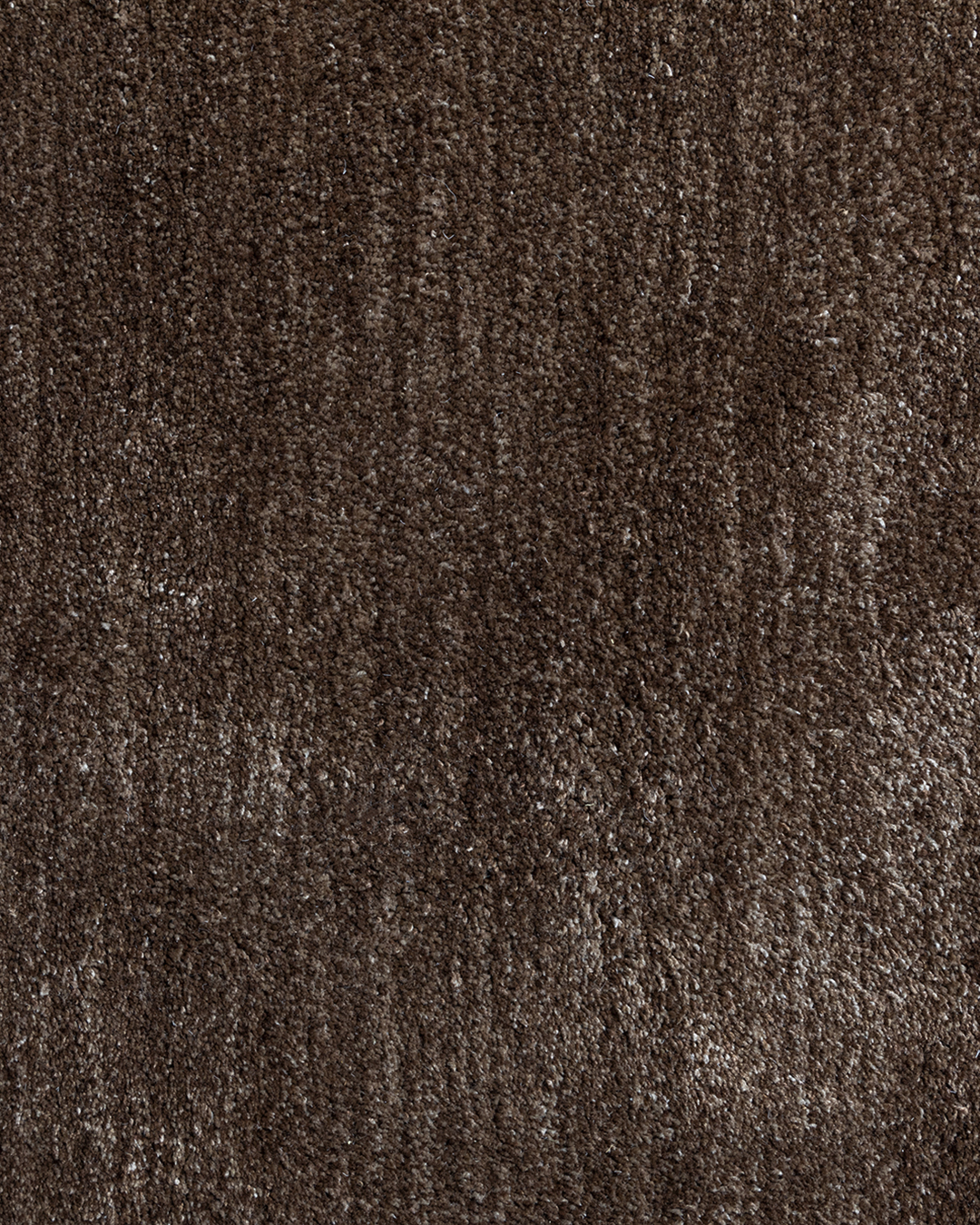 Bayard Rug