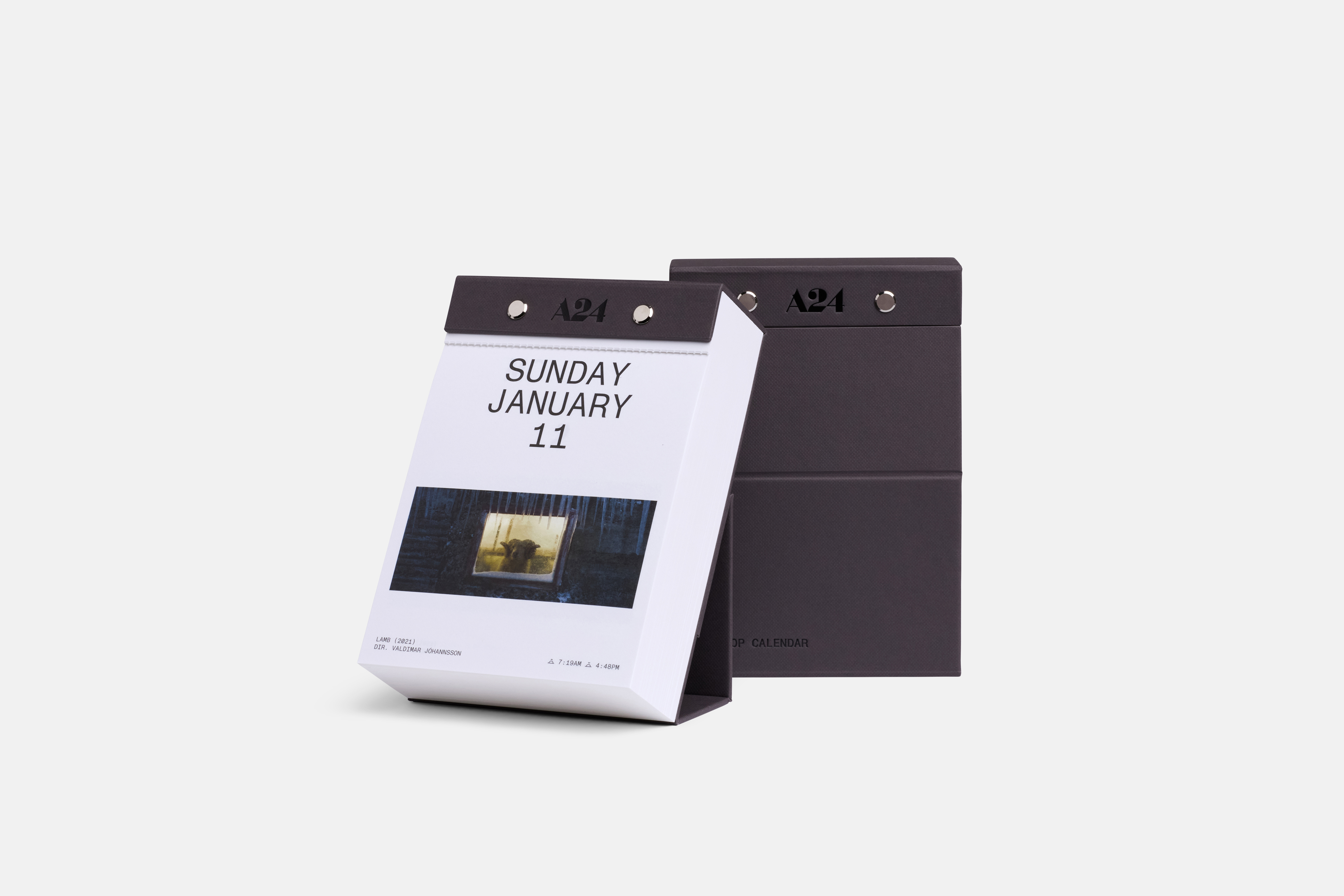 2026 Daily Tear Away Calendar A24 Shop