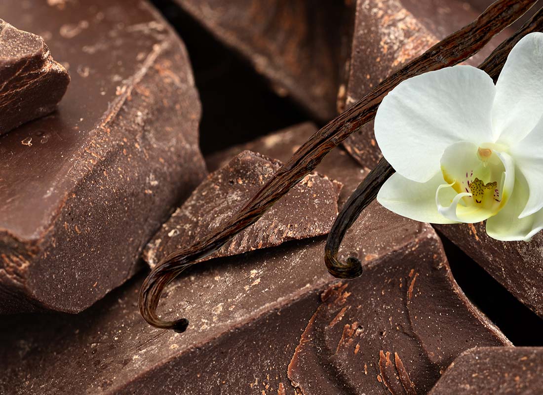 chocolate and vanilla ingredients