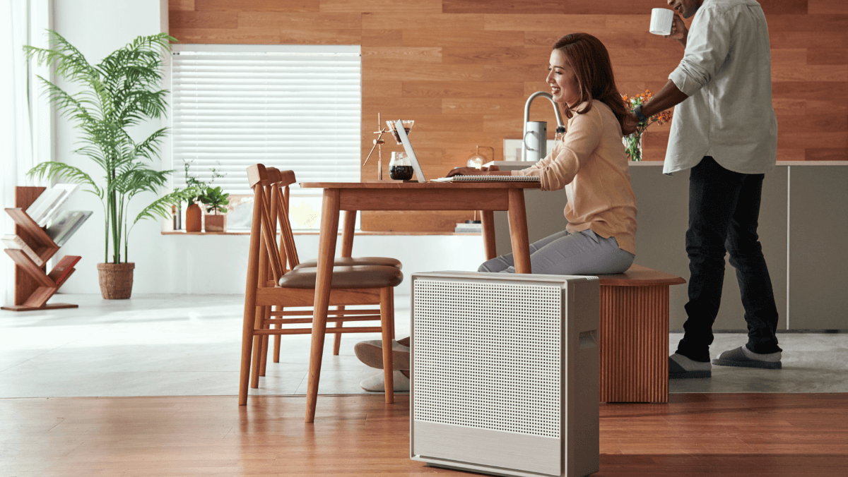 Airmega 250S