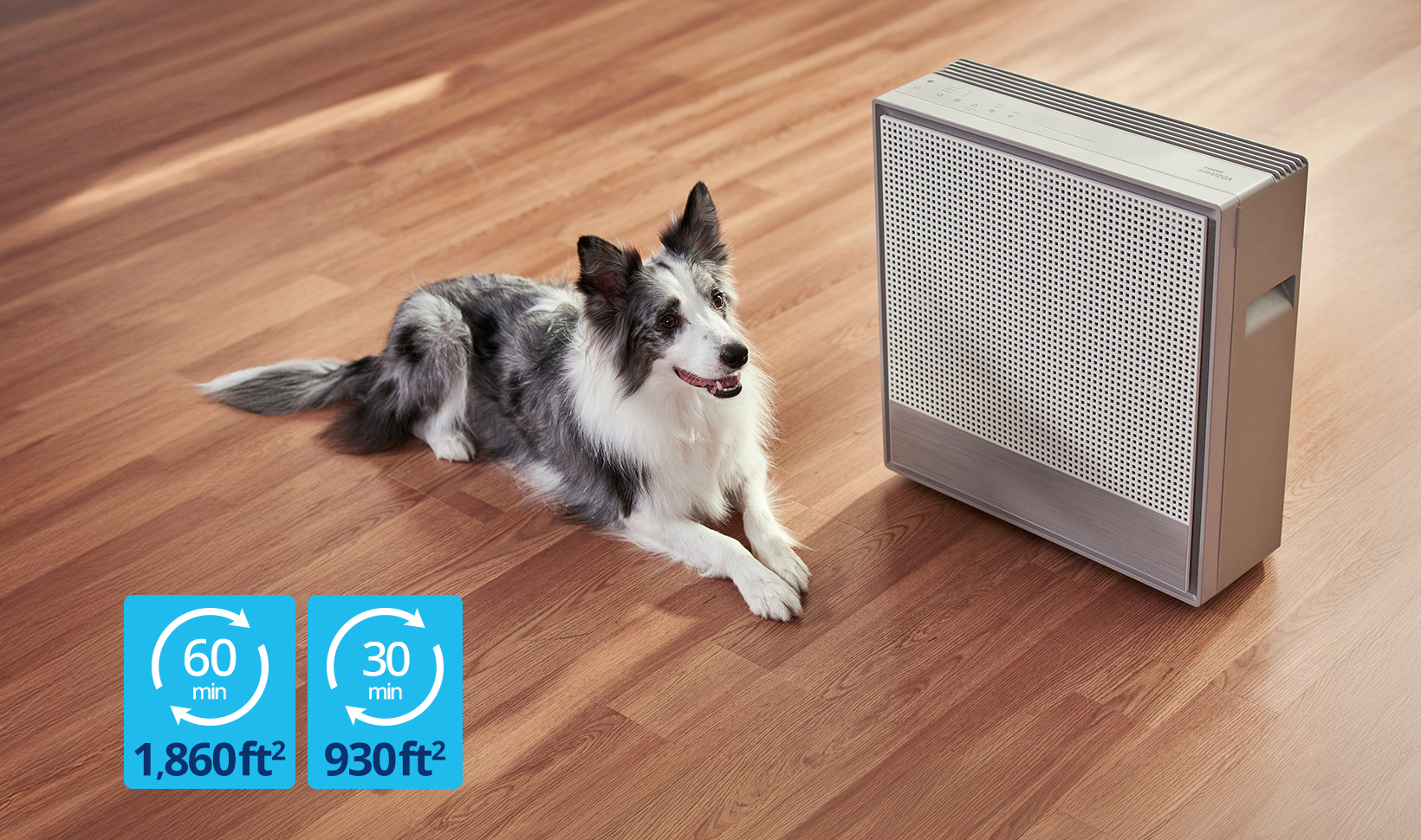 Airmega 250S smart air purifier effectively filters the air in rooms up to 1,860 square feet in 60 mins