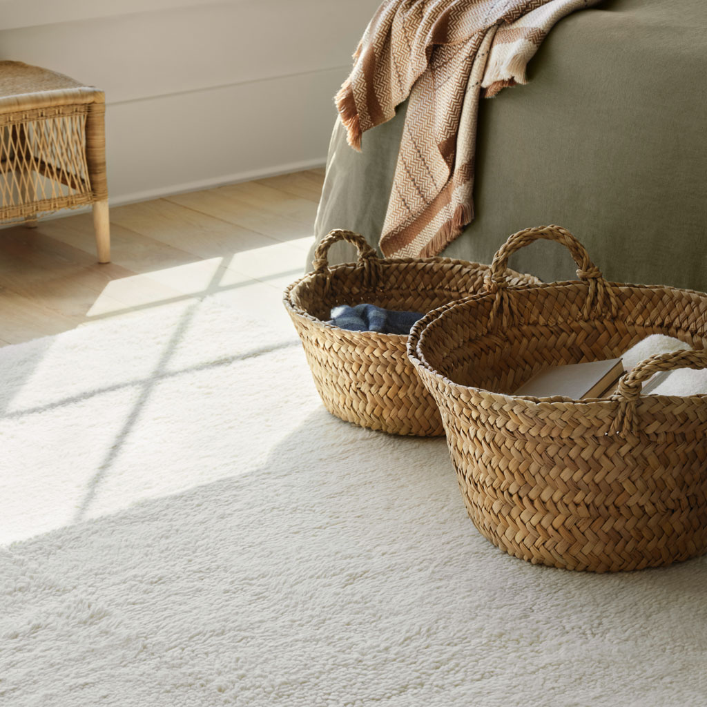 Jiya Hand-Knotted Area Rug