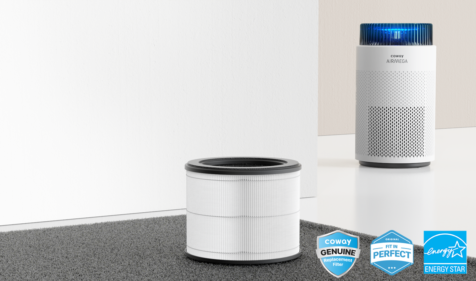 Airmega 100 replacement filter lasts 12+ months