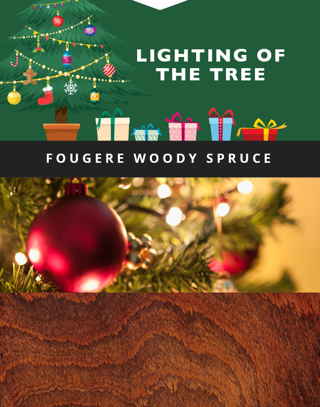 Collage for Lighting of the Tree