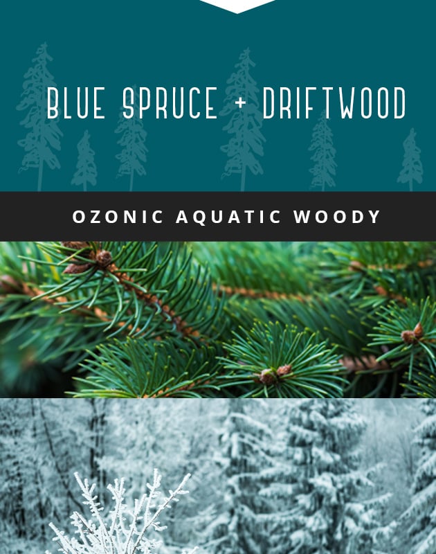 Collage for Blue Spruce + Driftwood 3-wick 14.75oz Jar Candle