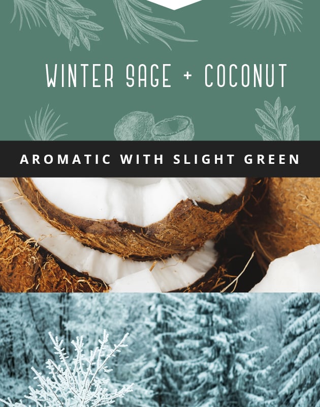 Collage for Winter Sage + Coconut 3-wick 14.75oz Jar Candle