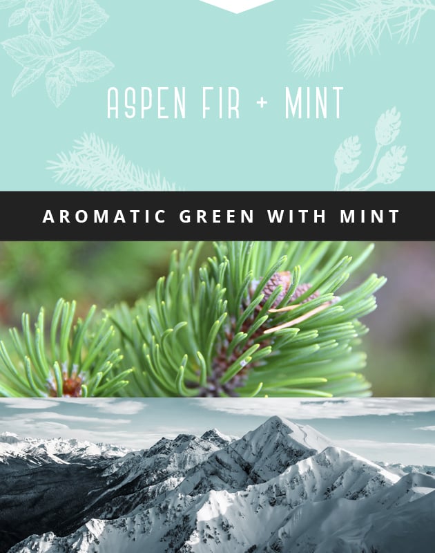 Collage for Aspen Fir + Mint 3-wick 14.75oz Jar Candle