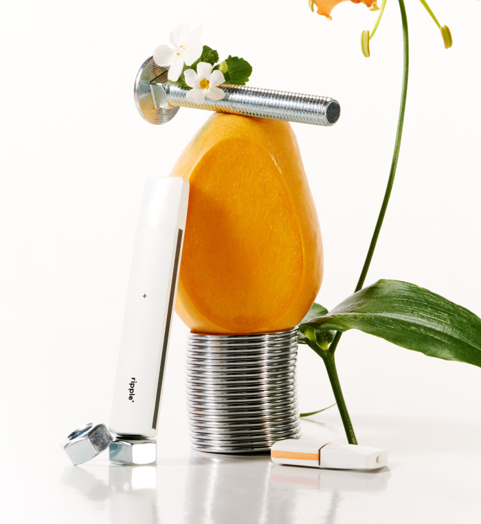 ripple+ | FOCUS Pods - zero nicotine mango flavoured puffs