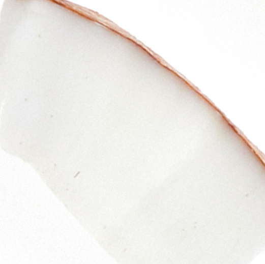 + coconut