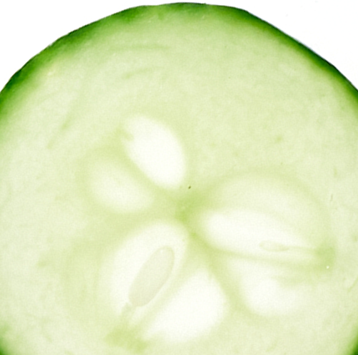 +cucumber 