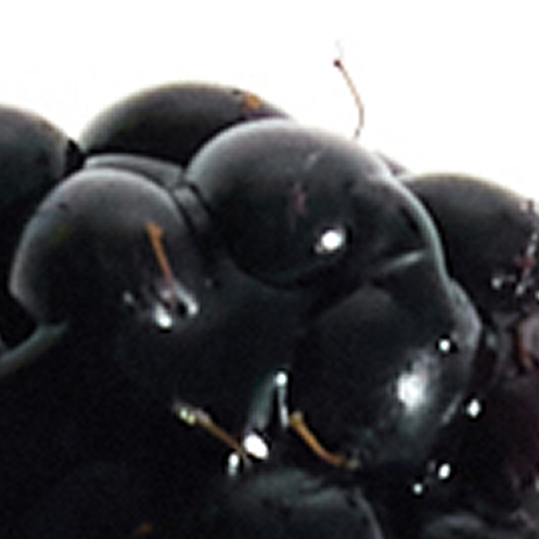 blackcurrant aroma