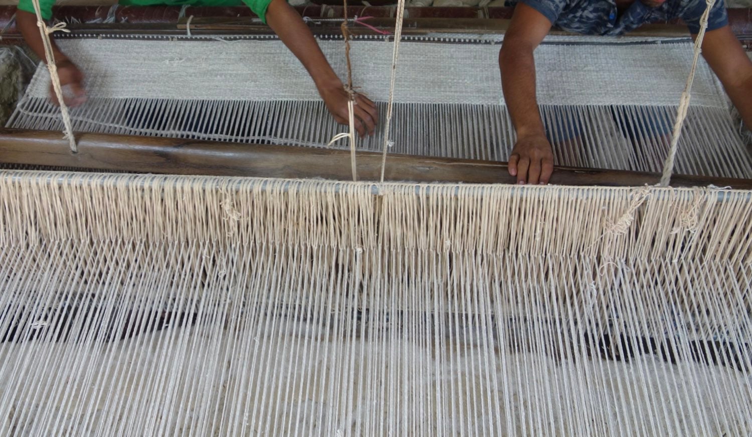 Lalita Hand-Knotted Area Rug