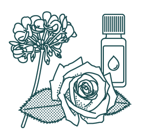 PEONY EXTRACT