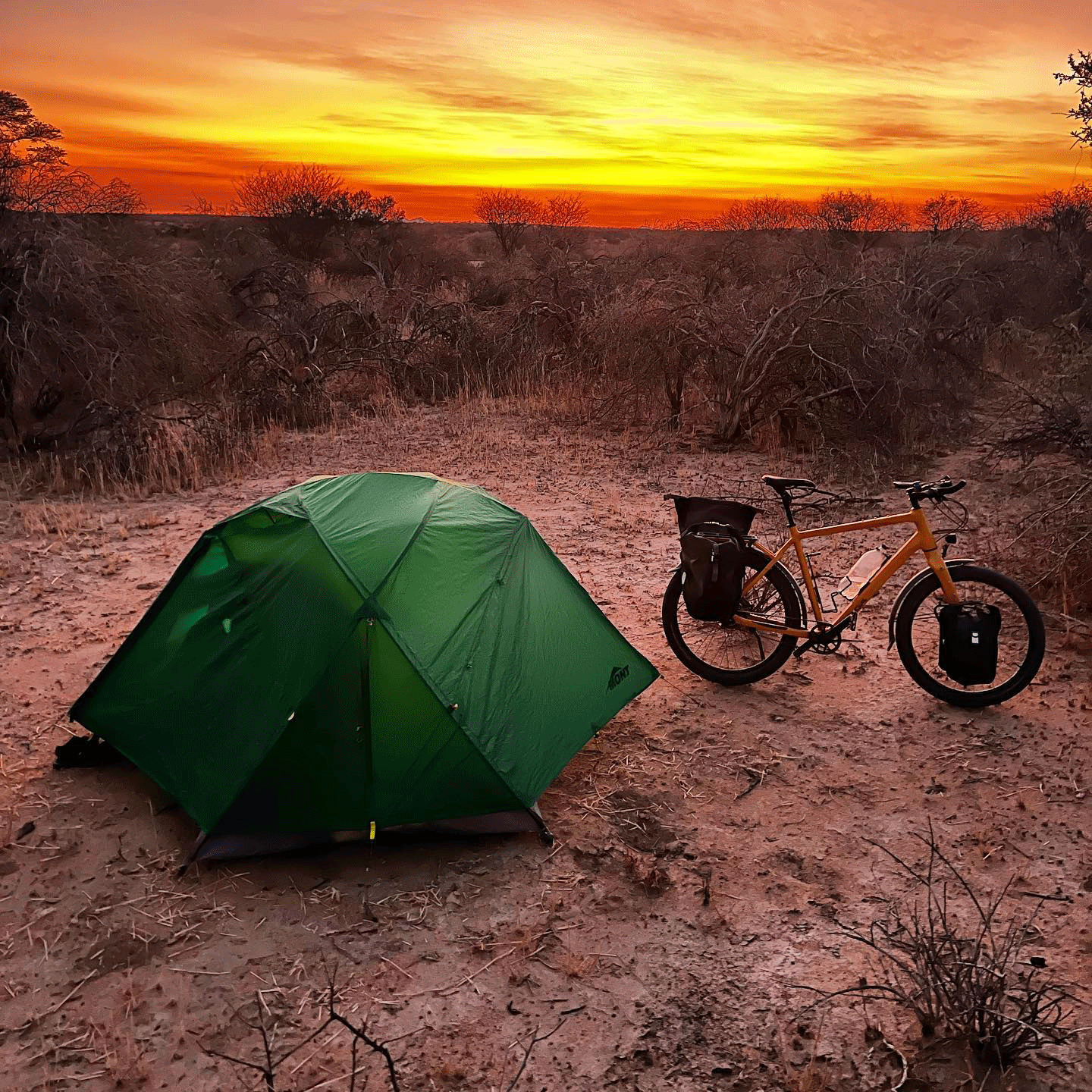 Dragonfly Tent - Forest Green – Mont Adventure Equipment