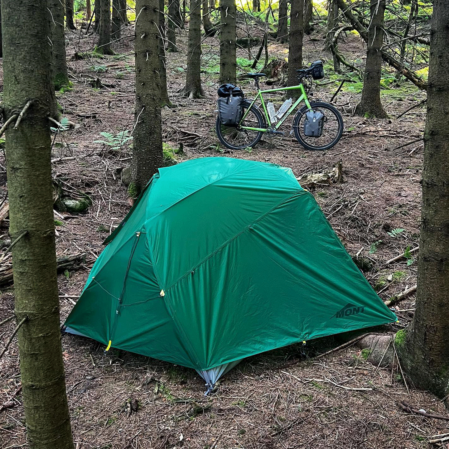 Dragonfly Tent - Forest Green – Mont Adventure Equipment