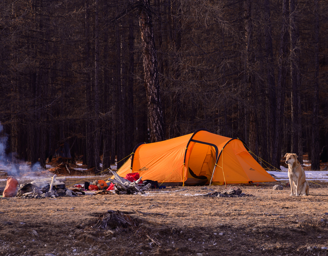 Supercell EX Tunnel Tent - Tumeric – Mont Adventure Equipment