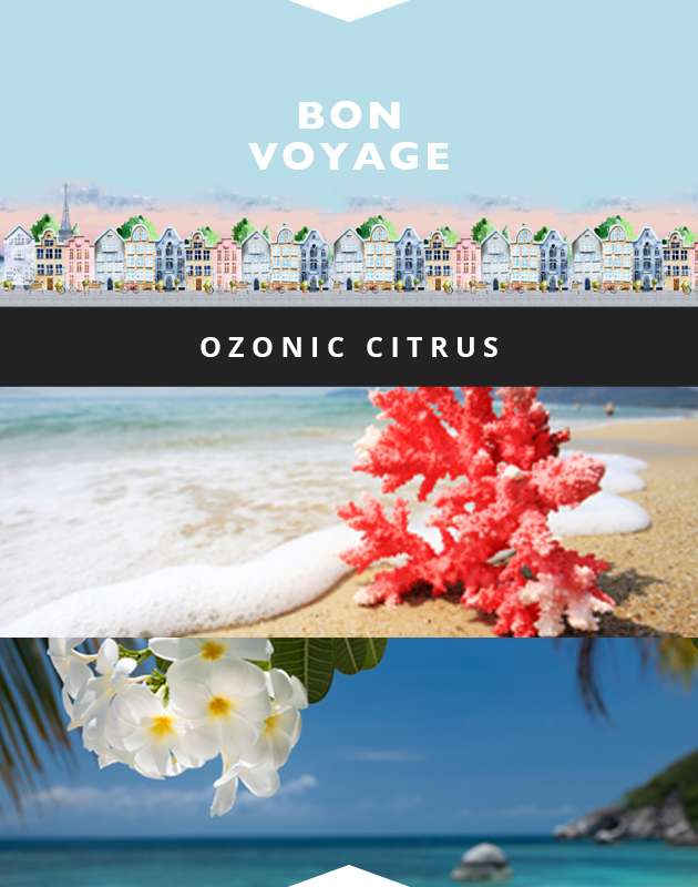 Collage for Bon Voyage