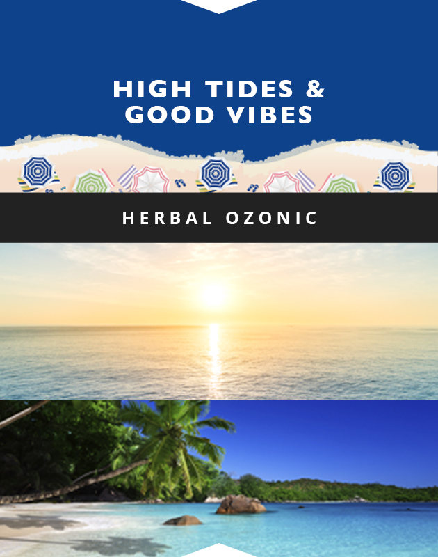 Collage for High Tides & Good Vibes