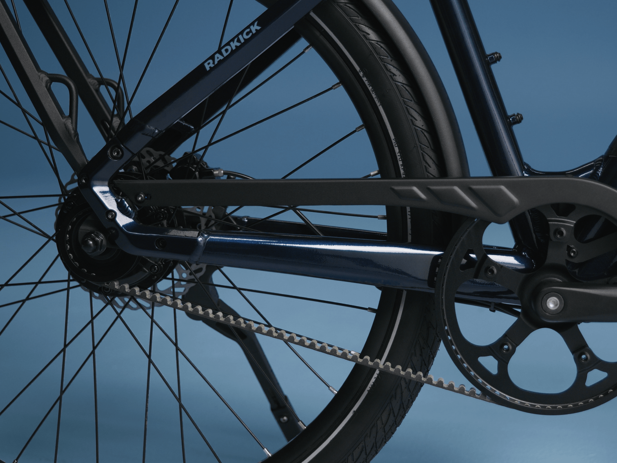 Rei belt drive bike shop