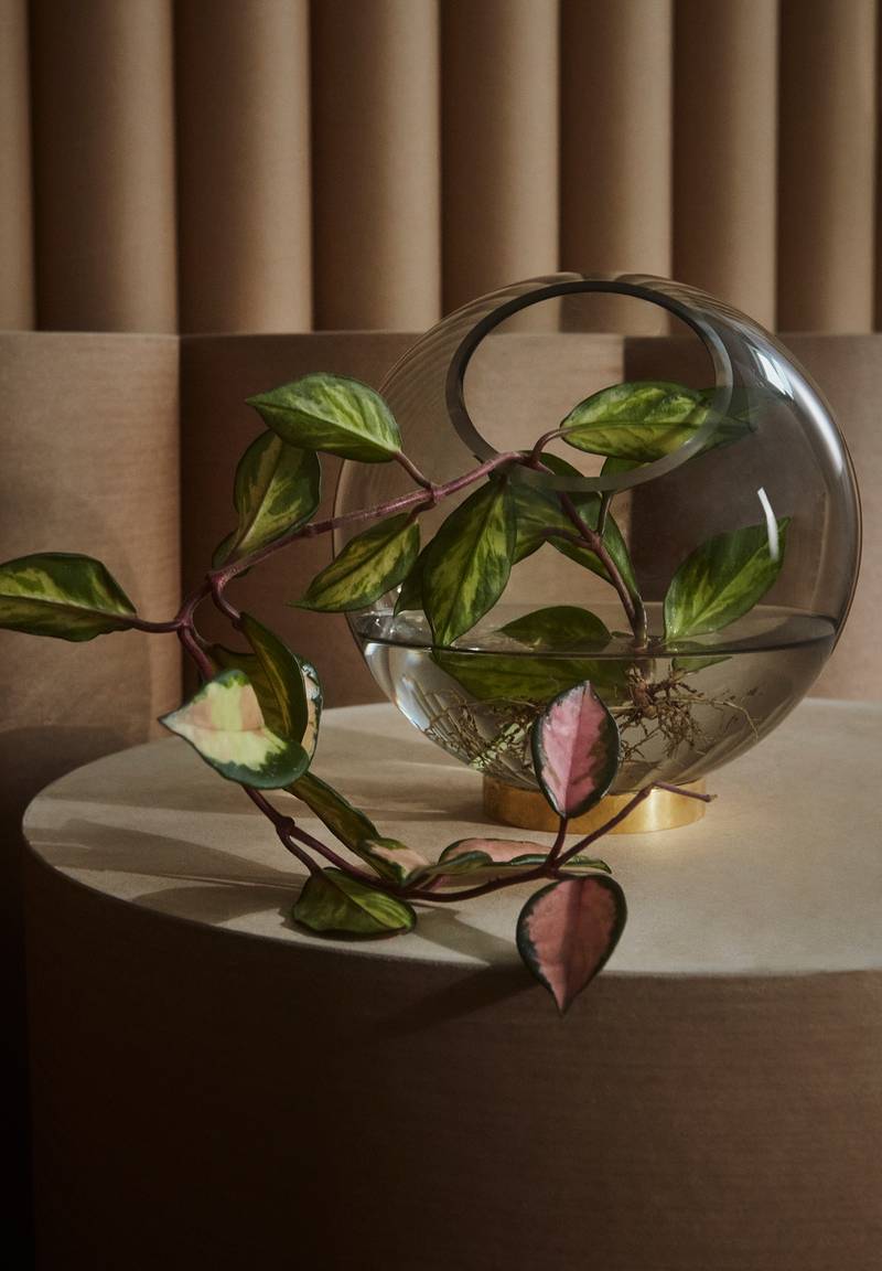 Globe Vase