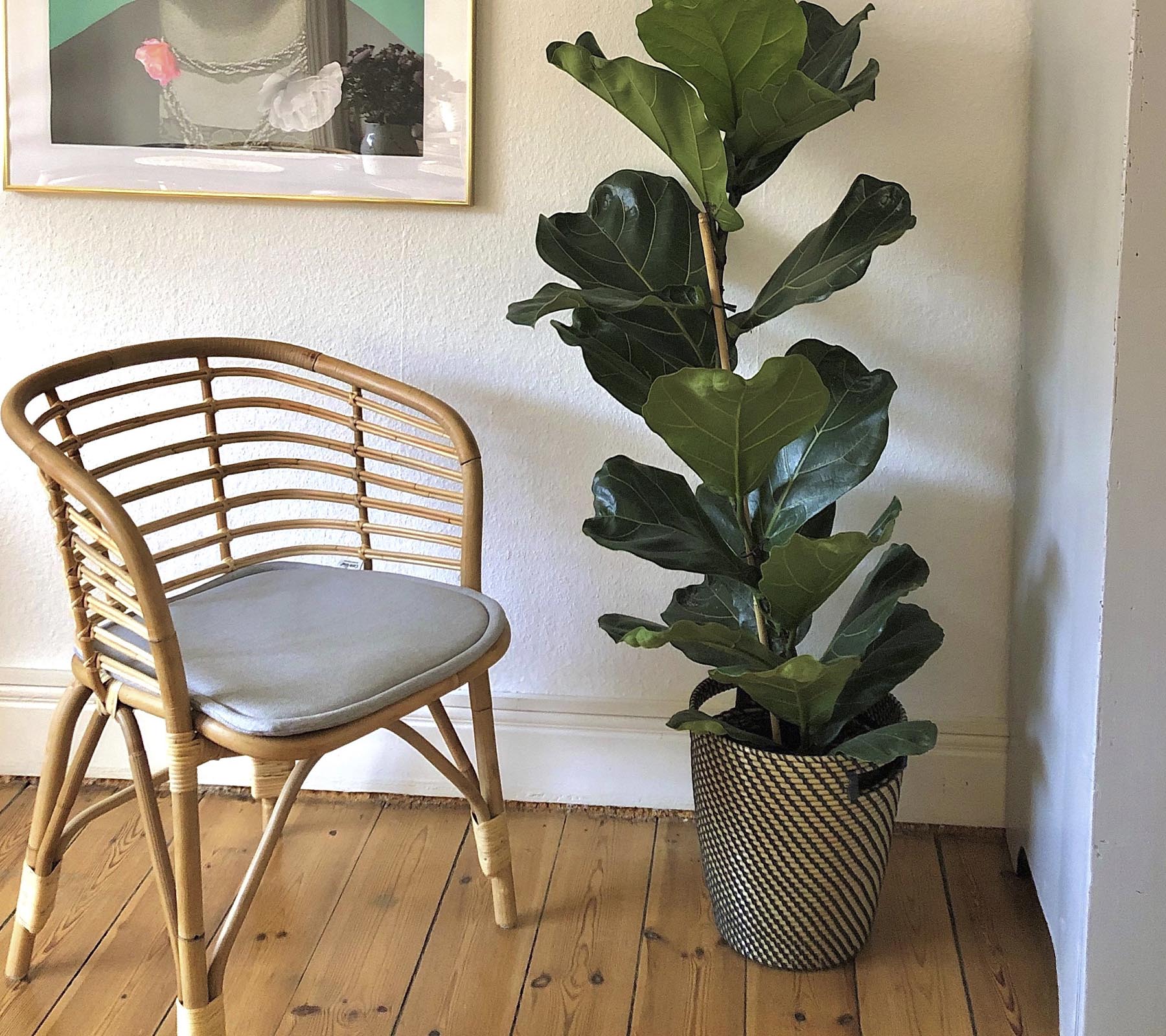 Blend Dining Chair - Indoor