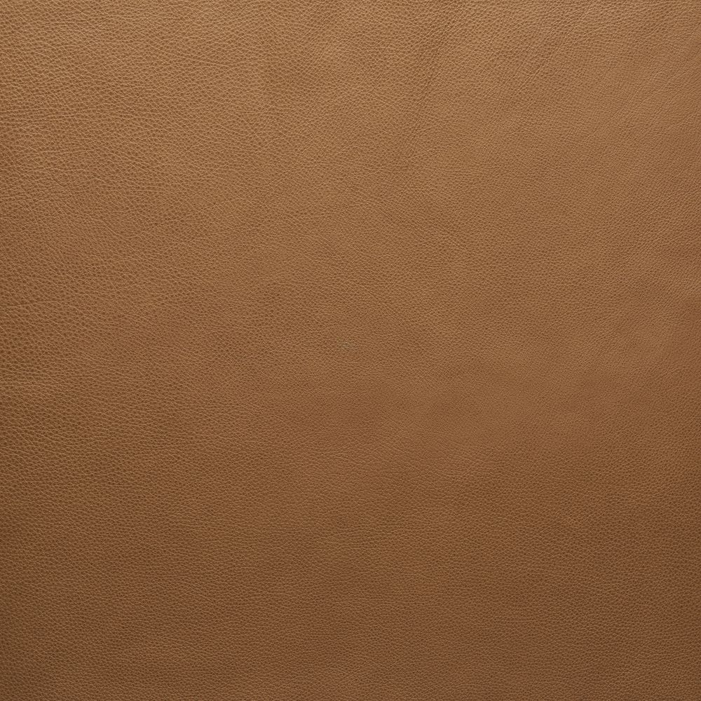Pecan-Alabama 003