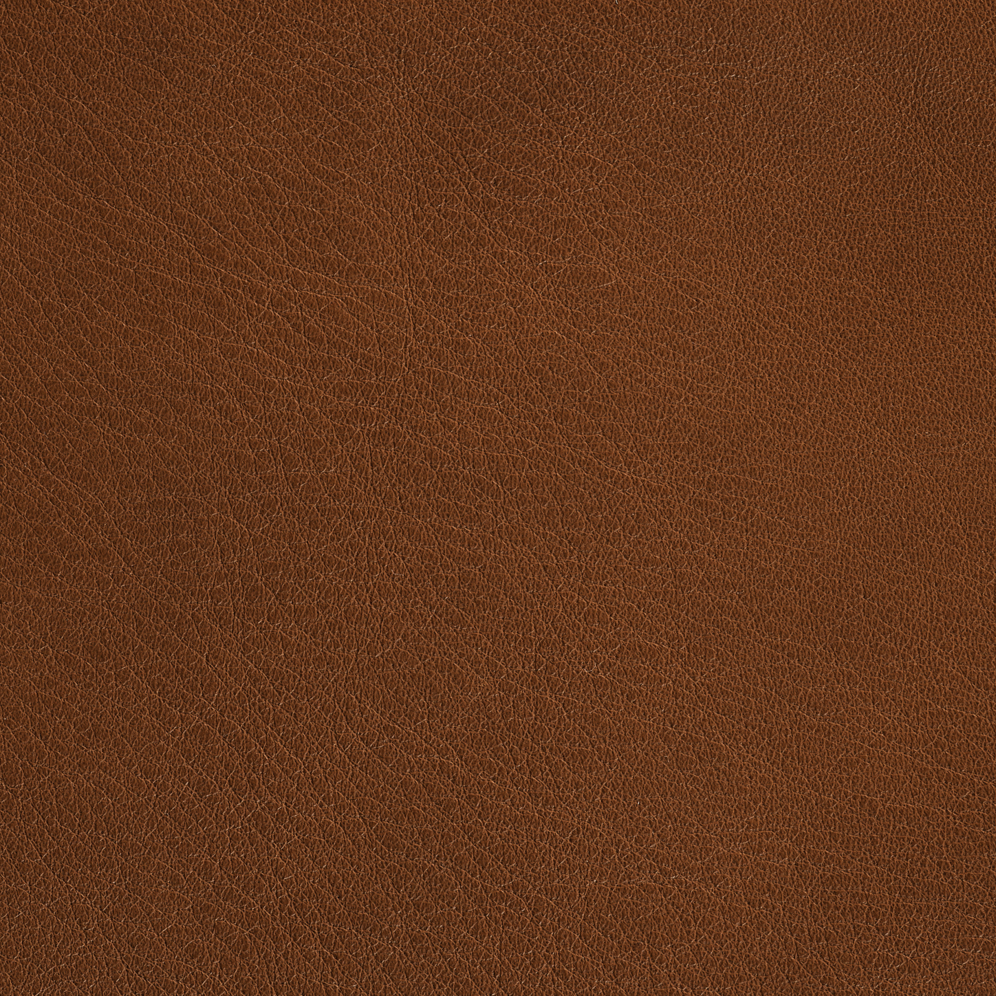 Cognac Parma Leather