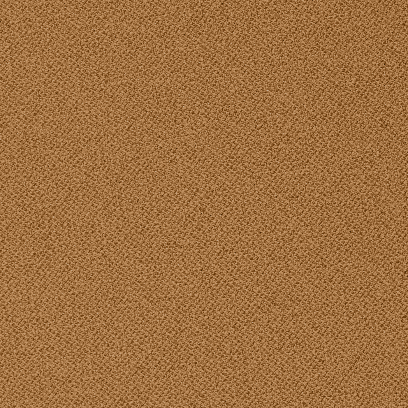Amber Boucle