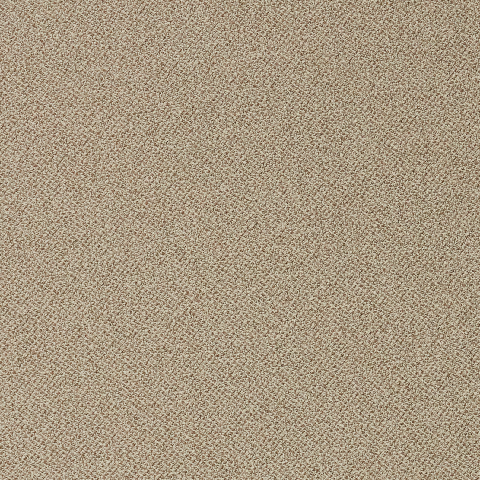 Taupe Boucle
